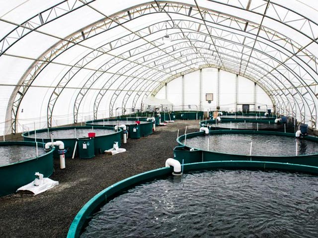 tension membrane structure roof for aquaculture